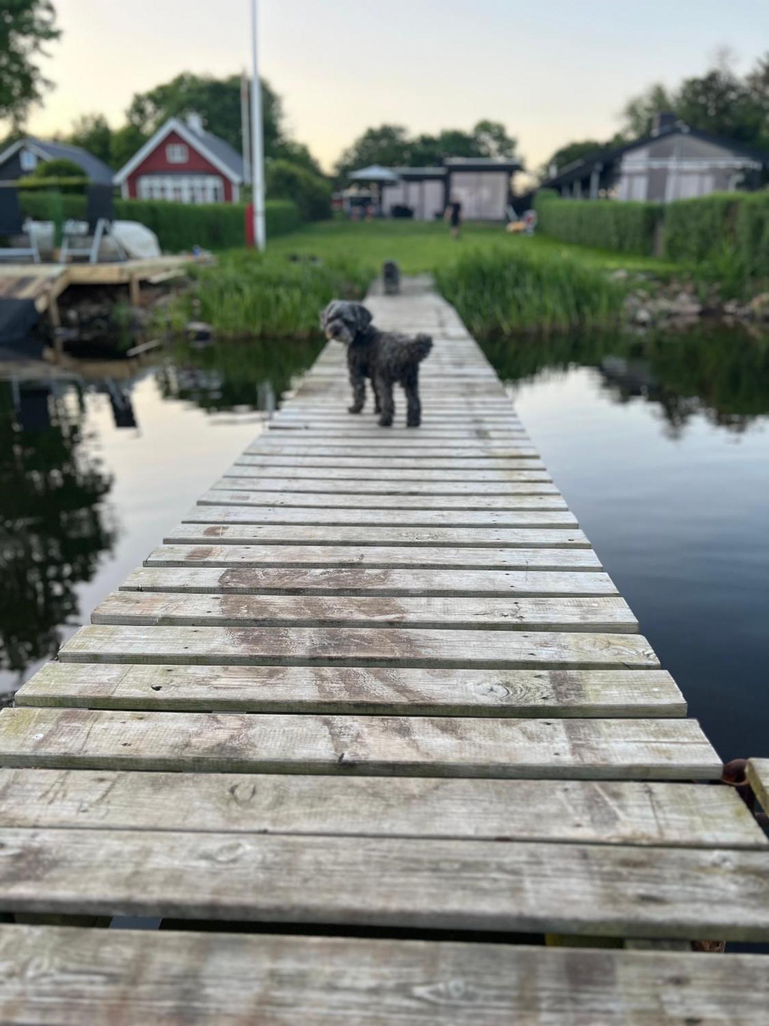 Huset Ved Soen Taet Pa Herning Og Mch Og Boxen 90 M2 Sunds Cameră foto